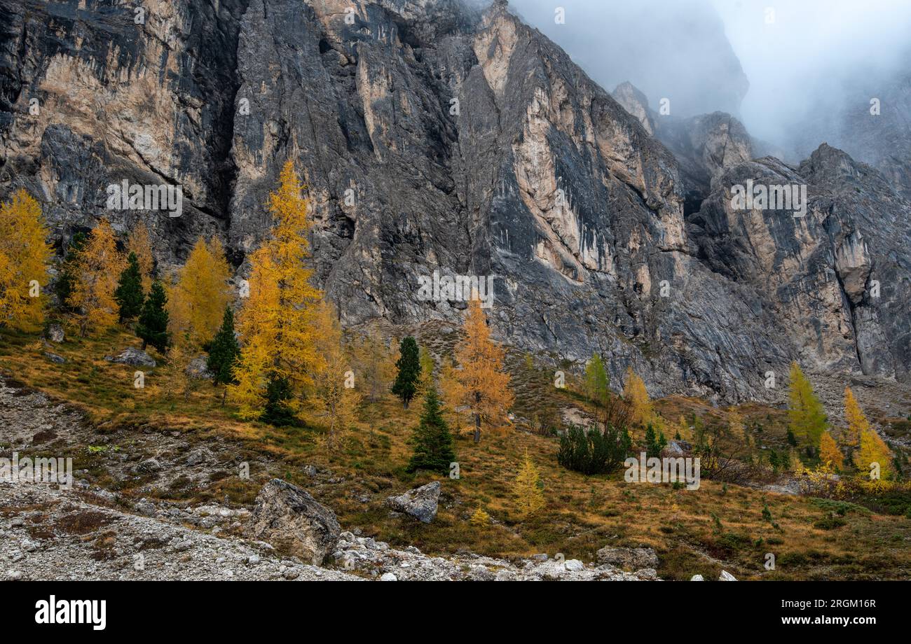Dolomite mountain peaks covered in fog during sunrise Stock Photo - Alamy