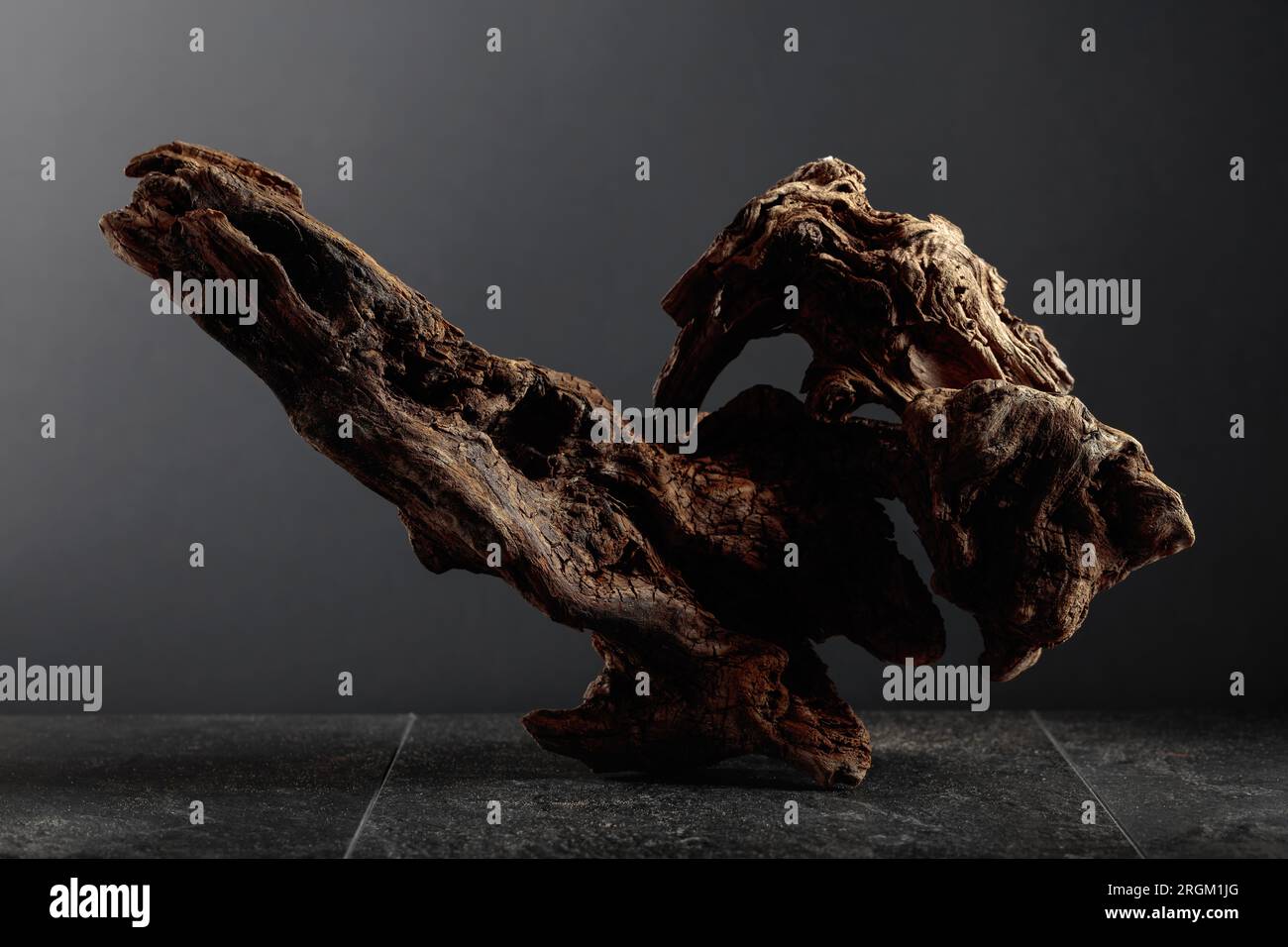 Old dry wooden snag on a black stone table. Black background with copy space. Stock Photo