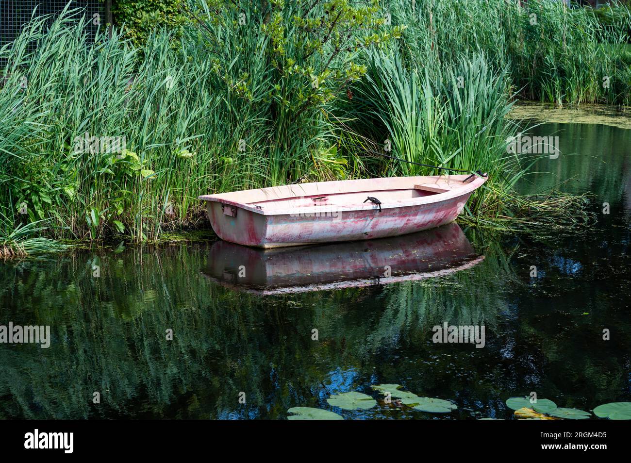 Small vessel reflecting in a creek with green water reeds, Barendrecht, South Holland, The Netherlands Stock Photo