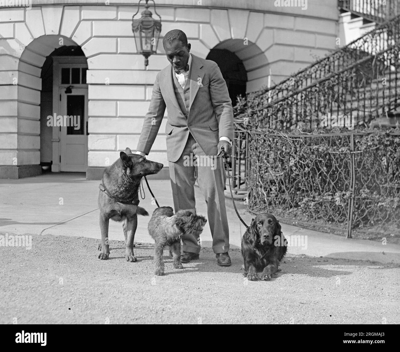 King tutt the dog hires stock photography and images Alamy