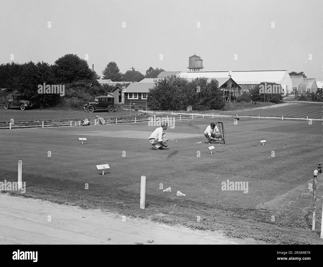 Golf green expiriments at Arlington Farm ca. 1929 Stock Photo