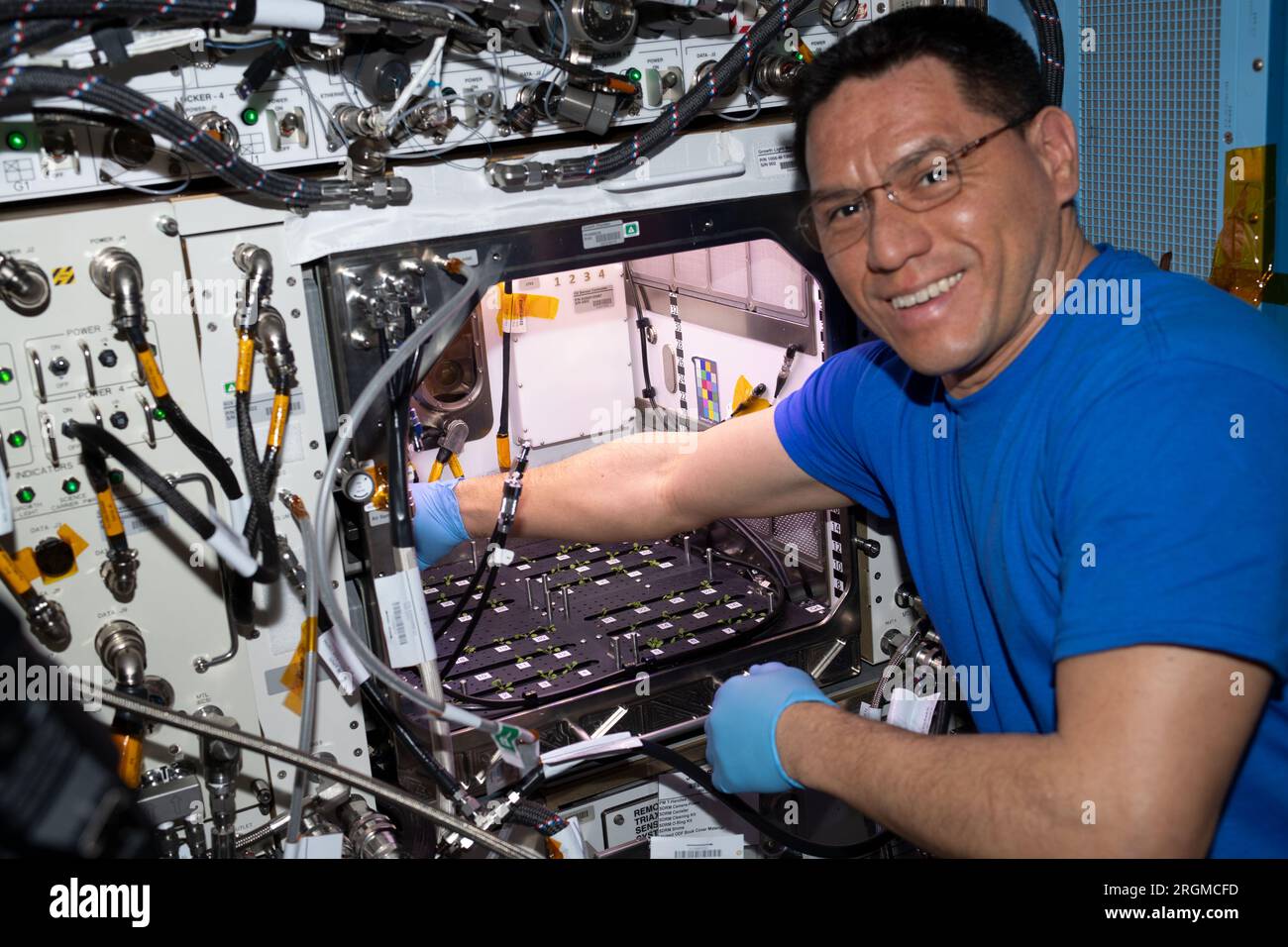 International Space Station, Earth Orbit. 25th July, 2023. International Space Station, Earth Orbit. 25 July, 2023. NASA astronaut and Expedition 68 Flight Engineer Frank Rubio works thinning thale cress seedlings in the Plant Habitat aboard the International Space Station, July 25, 2023 in Earth Orbit. Rubio is thinning the sprouts to retain a singular healthy plant per unit as the crew continues ongoing investigations of assessing whether adaptations in one generation of plants grown in space can transfer to the next. Credit: NASA/NASA/Alamy Live News Stock Photo