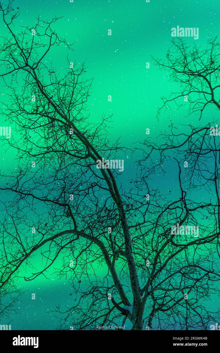 Northern lights on a rare occasion Stock Photo - Alamy
