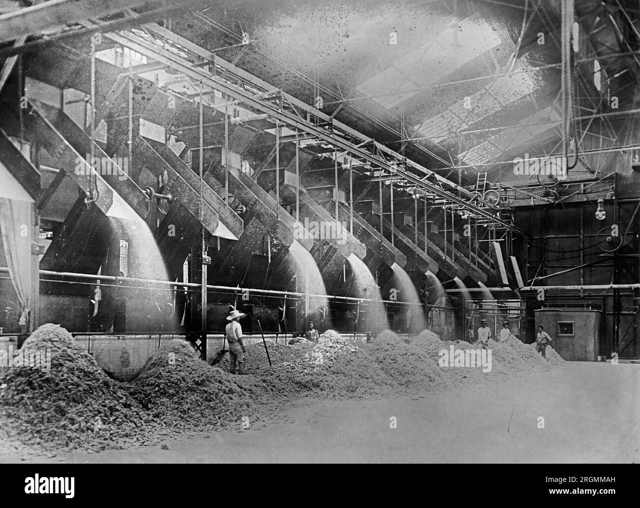 Delivering Bagasse to fire-room. Raw sugar mill. Hawaiian Islands ca. 1910s Stock Photo