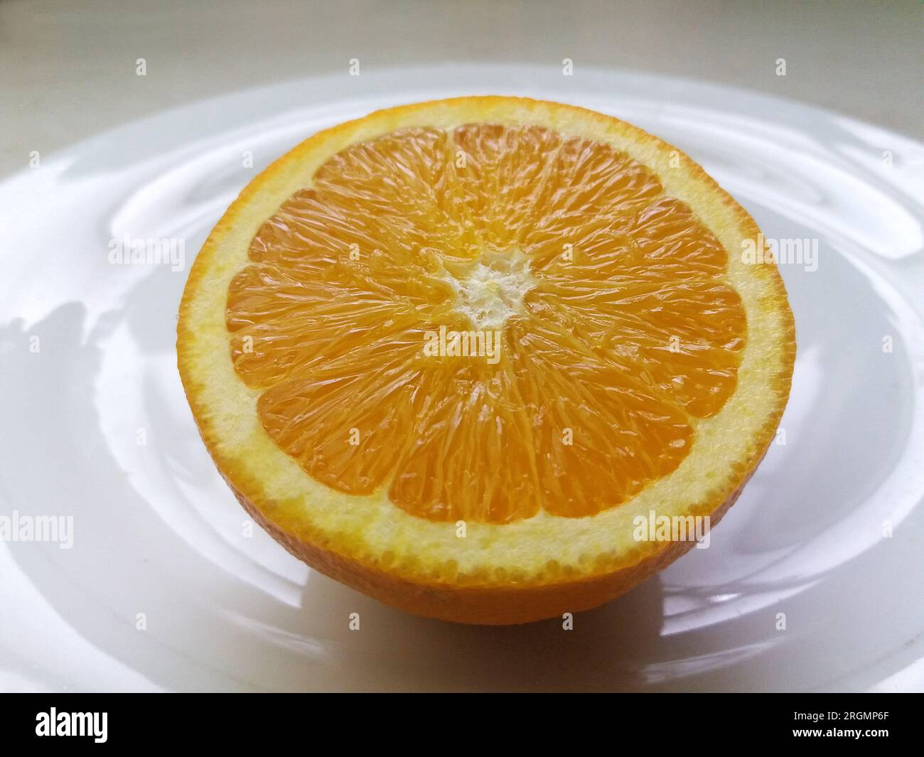 Bahia Orange is originally from the state of Bahia Brazil, this