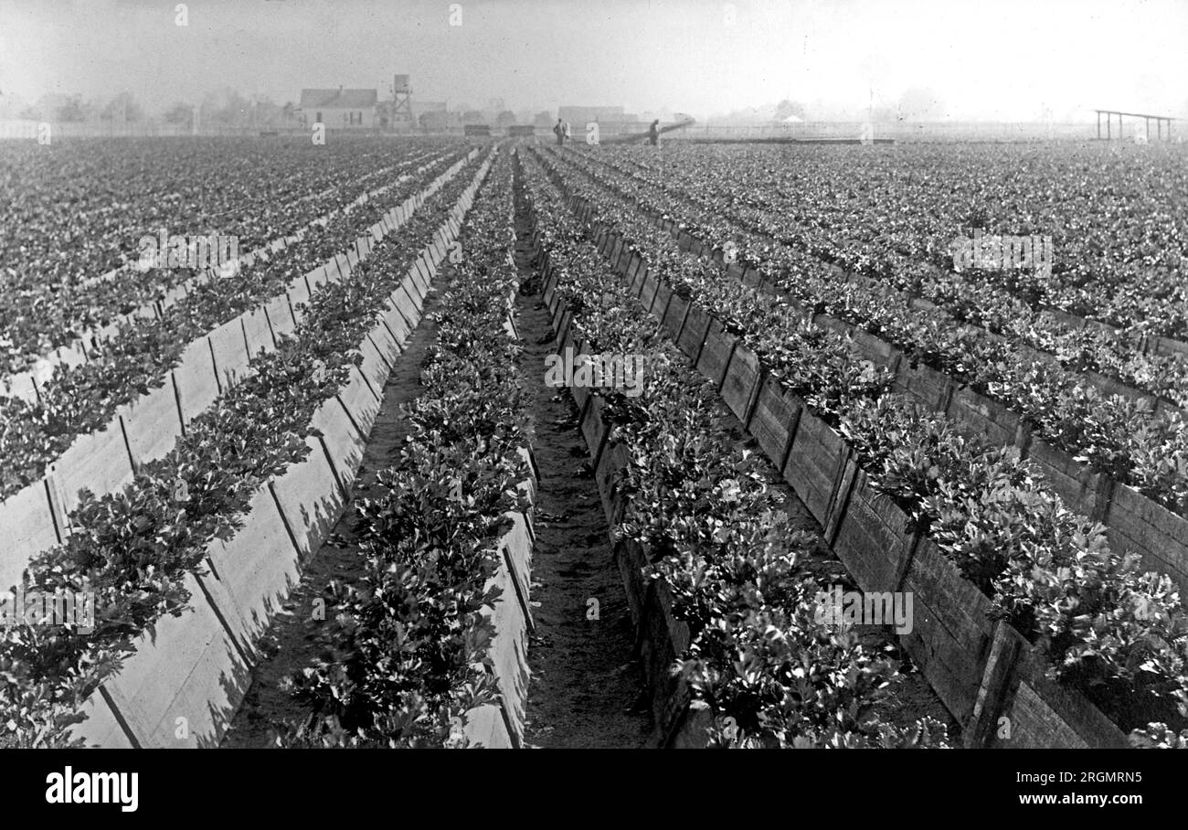 1910s farm Black and White Stock Photos & Images Alamy