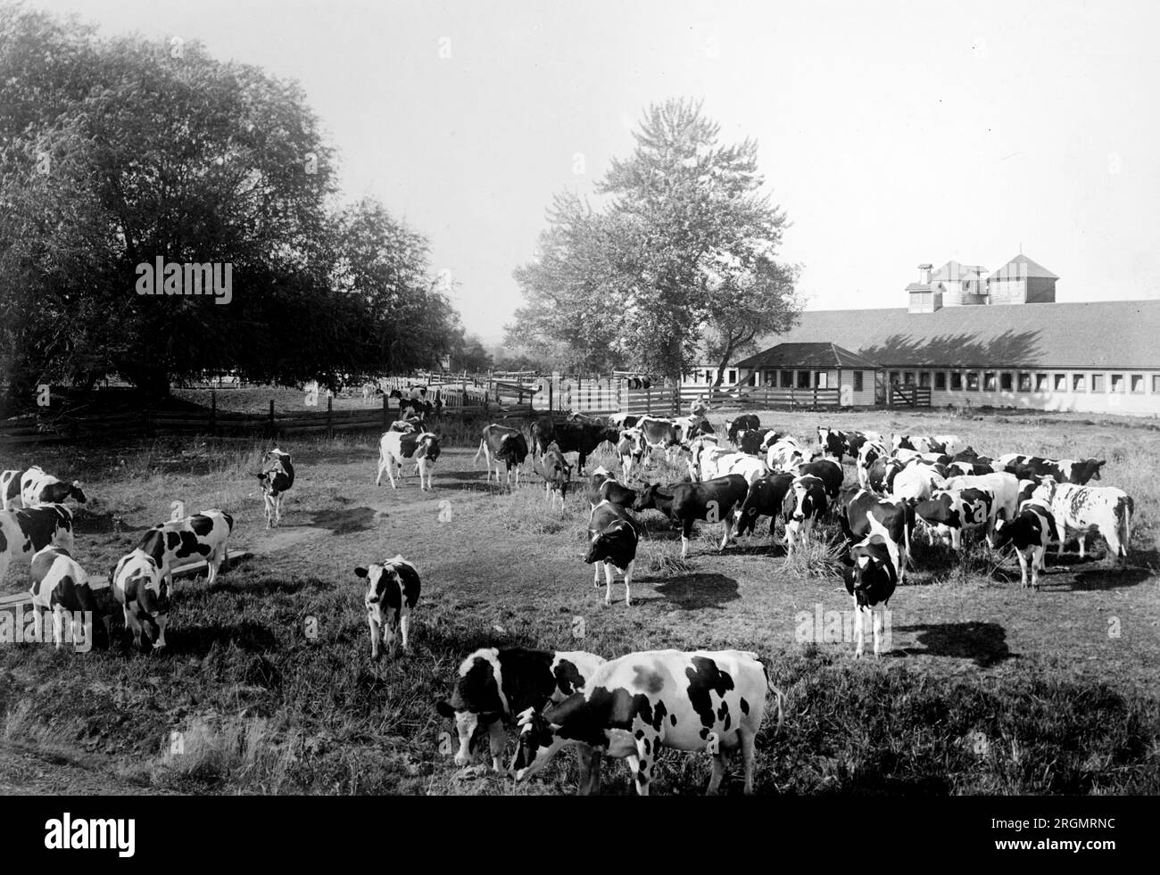 1910s farm Black and White Stock Photos & Images Alamy