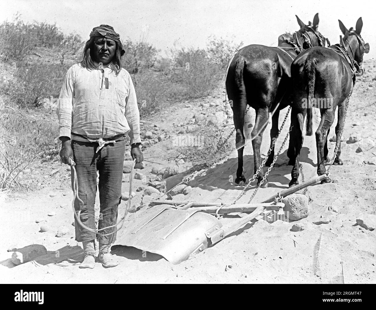 Native American Helper A Native American laborer standing behind a team of horses ca. 1918 ...