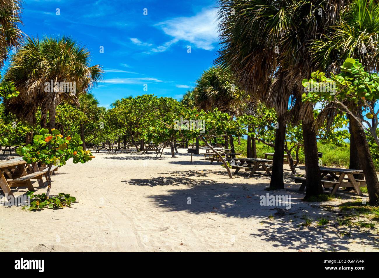DANIA BEACH, FLORIDA, USA - JULY 31 2023 View of Dr. Von D. Mizell-Eula Johnson State Park and beach Stock Photo