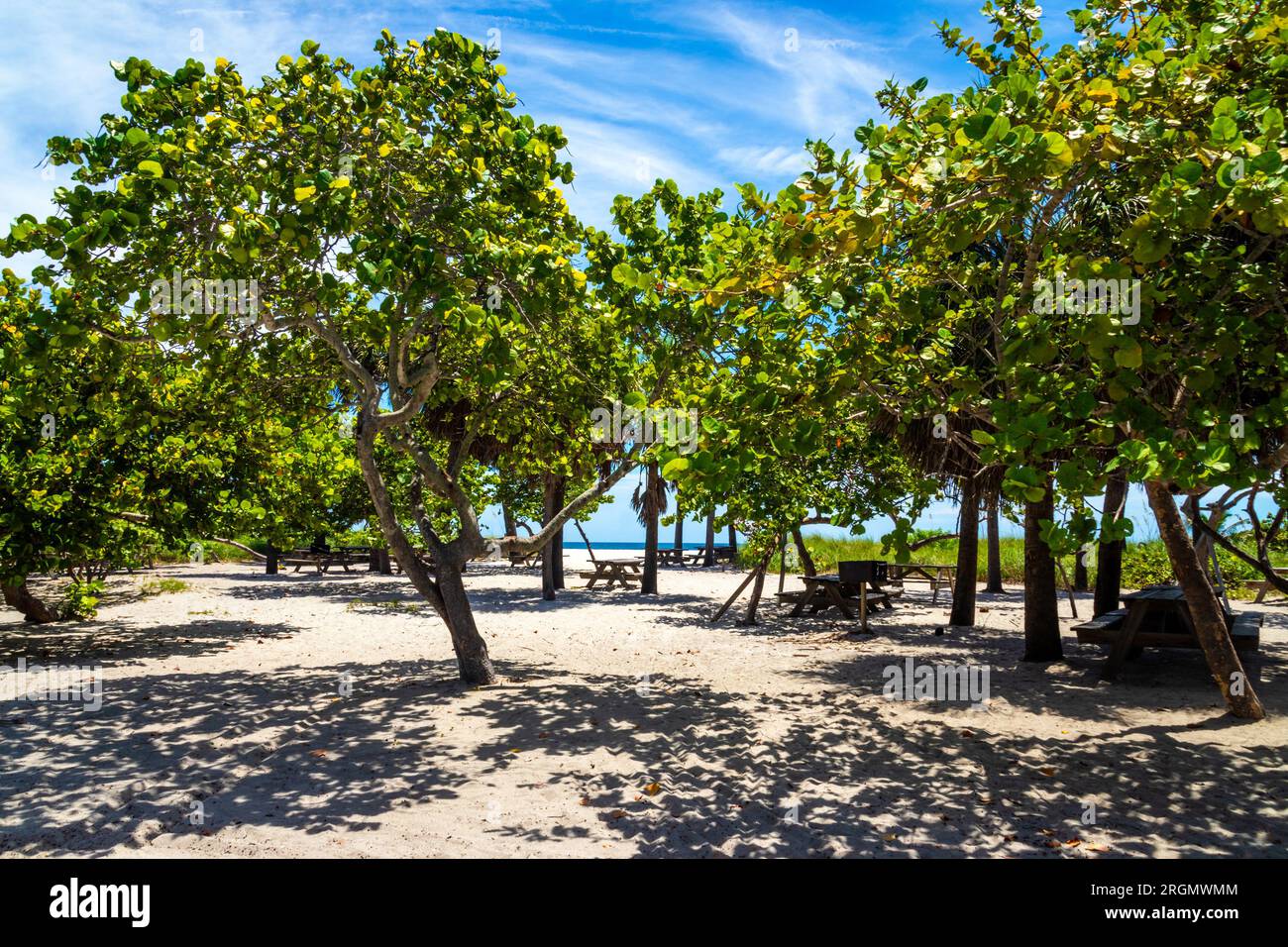 State Park and beach in Dania Beach Florida USA landscape daytime blue sky Stock Photo