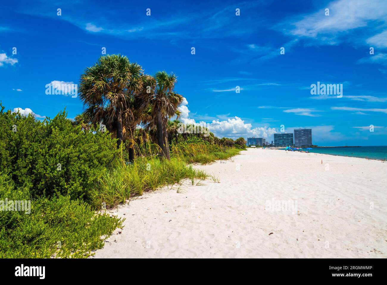 State Park and beach in Dania Beach Florida USA landscape daytime blue sky Stock Photo