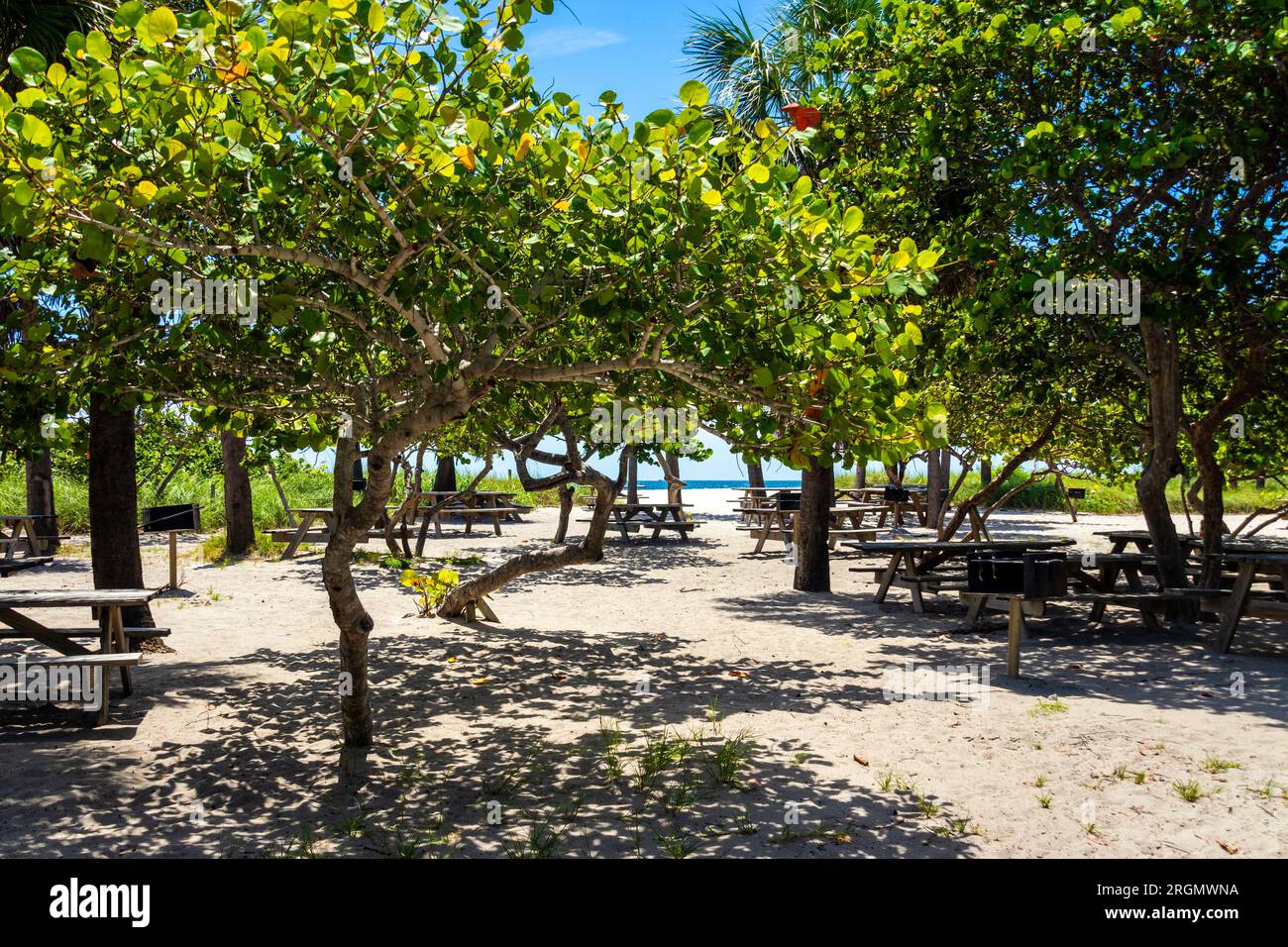 State Park and beach in Dania Beach Florida USA landscape daytime blue sky Stock Photo