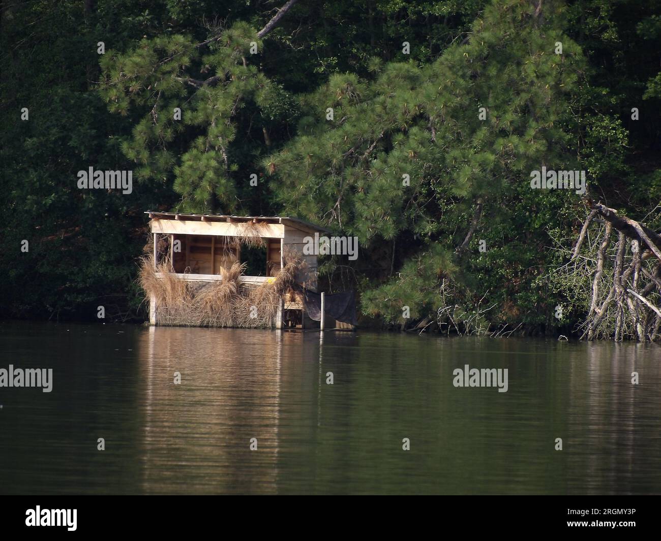 Kodak PIXPRO AZ528 Superzoom Project; Hunting blind on the Upper