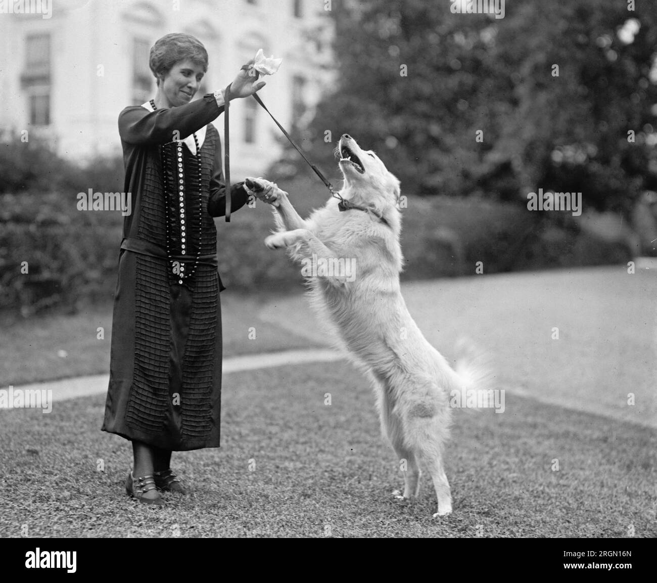 Mrs. Coolidge with her dog "Rob Roy" ca. 1924 Stock Photo Alamy