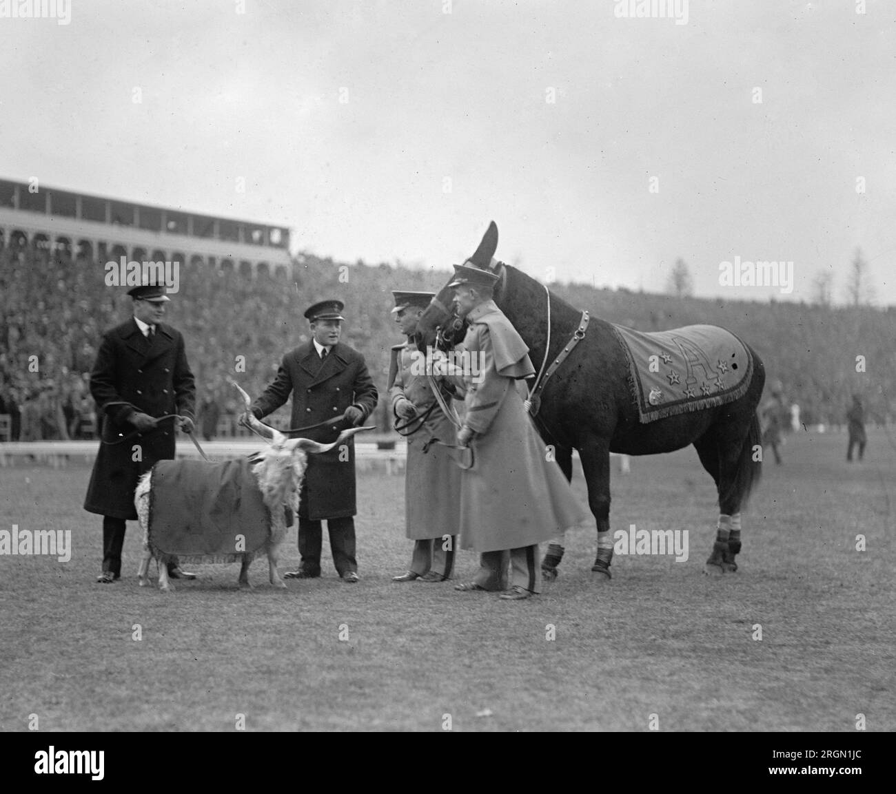 1924 Army Navy Game: Pre-game meeting of mascots Stock Photo