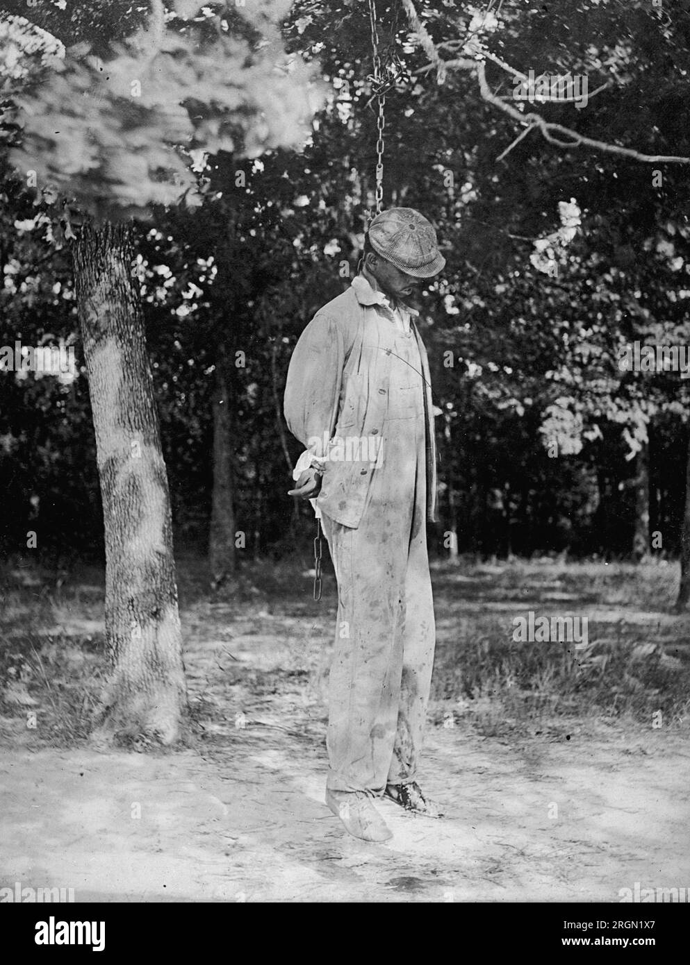A man hanging from a tree on a chain ca. 1925 Stock Photo - Alamy