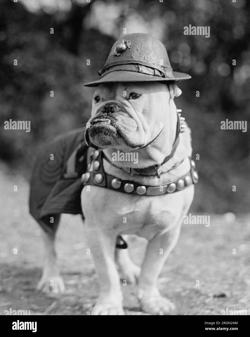 Sgt Black and White Stock Photos & Images Alamy