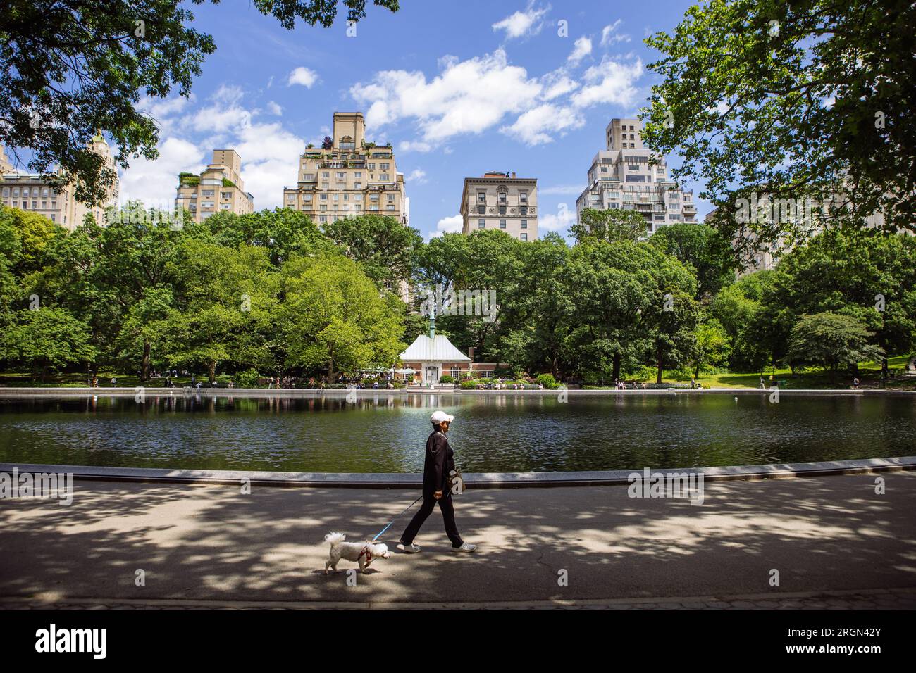 Woman walking with her dog in front of the Conservatory Water in Central Park, New York City, USA Stock Photo