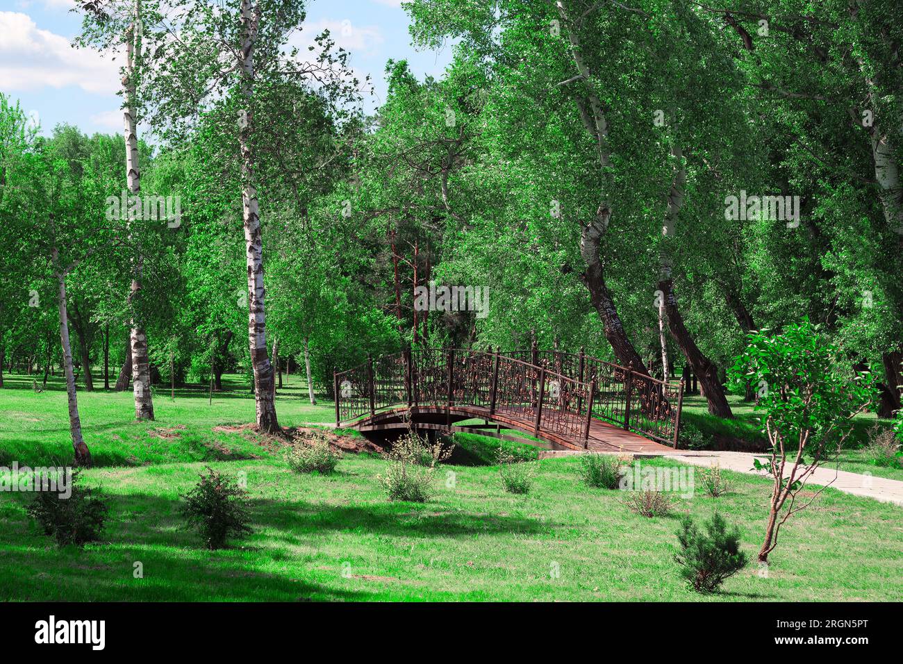 Footbridge in the spring park. Spring landscape with green grass and ...