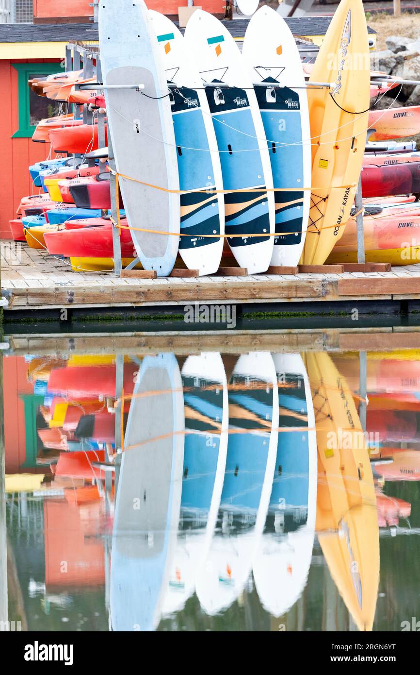 Surf Boards and Kayaks Standing and Reflecting in Water Stock Photo Alamy