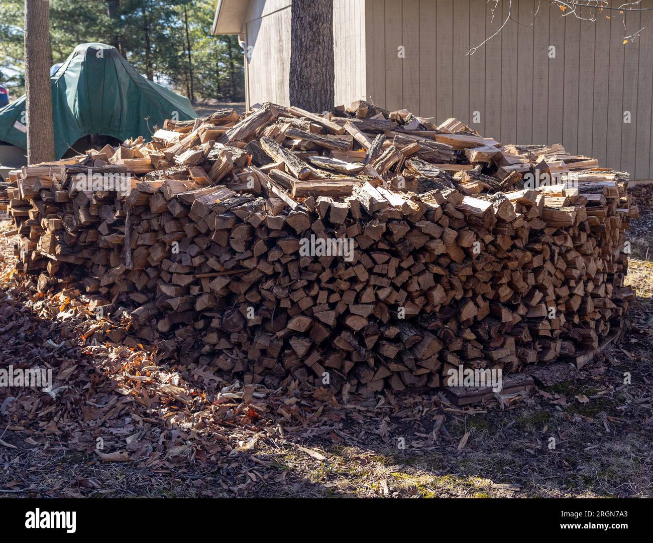 Reportage: USDA Visit to Springboro Tree Farms in Brookston, Indiana (Feb 2023) - Firewood ages at Springboro Tree Farms in Brookston, Indiana Feb. 13, 2023. The wood will be used as part of the process to turn raw maple sap into maple syrup. Stock Photo