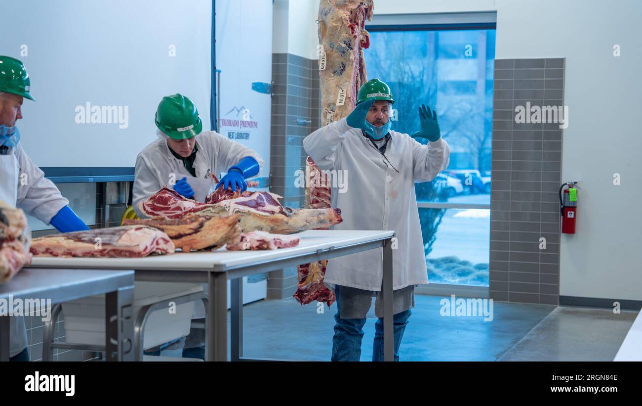 Reportage: USDA Cattle & Carcass Training Center (CCTC) located at Colorado State University, hosted an educational in-person event at the JBS Global Food Innovation Center on March 28-30, 2023. Pictured here is an instructor speaking to attendees. Stock Photo