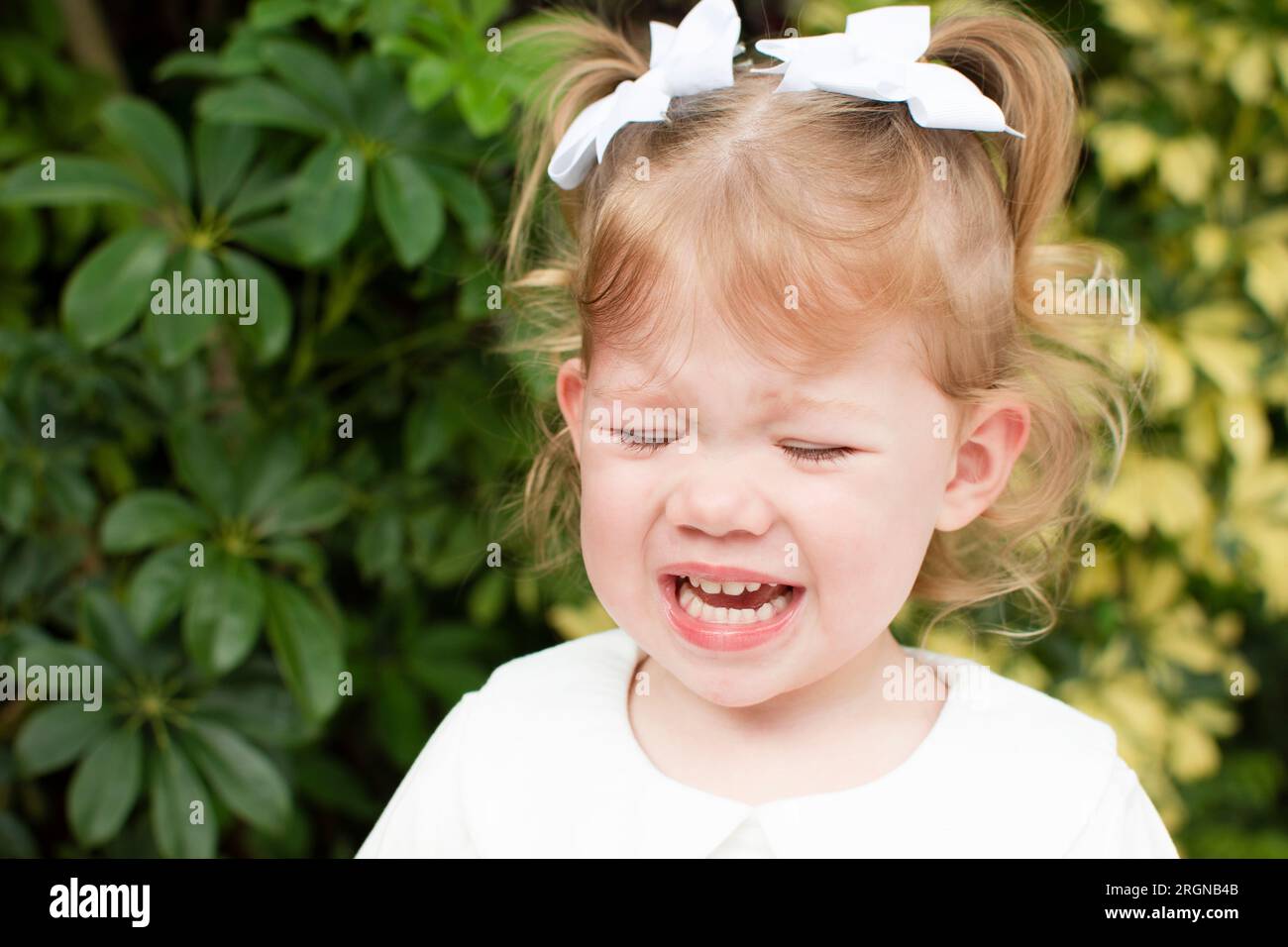 Cute Caucasian toddler girl is crying. Crying child. Upset girl Stock Photo