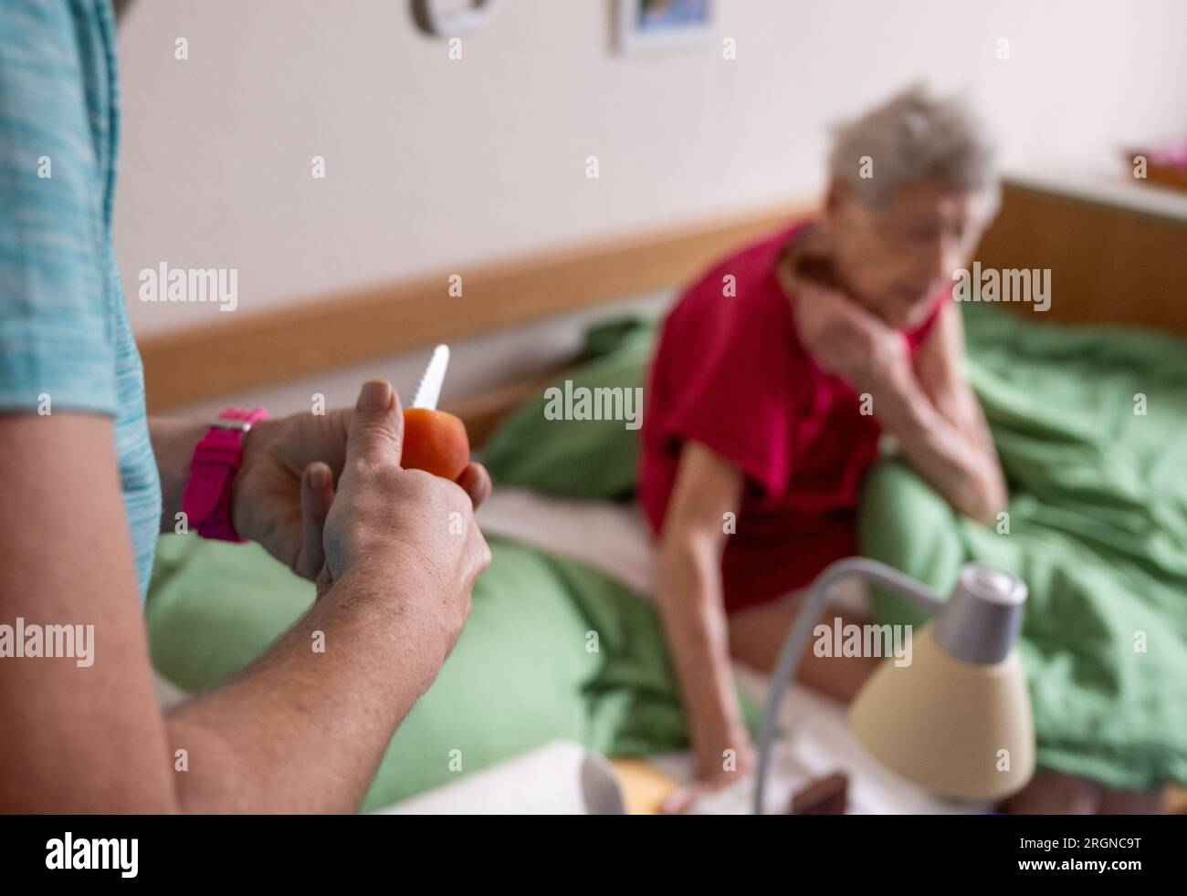 Berlin, Germany. 31st July, 2023. Nurse Ramona Rössner cuts fruit for a snack during an outpatient visit to her patient, 97-year-old senior Brigitte Richter, who needs care. (to dpa-KORR 'You drink, I drink' - How heat endangers old people) Credit: Monika Skolimowska/dpa/Alamy Live News Stock Photo