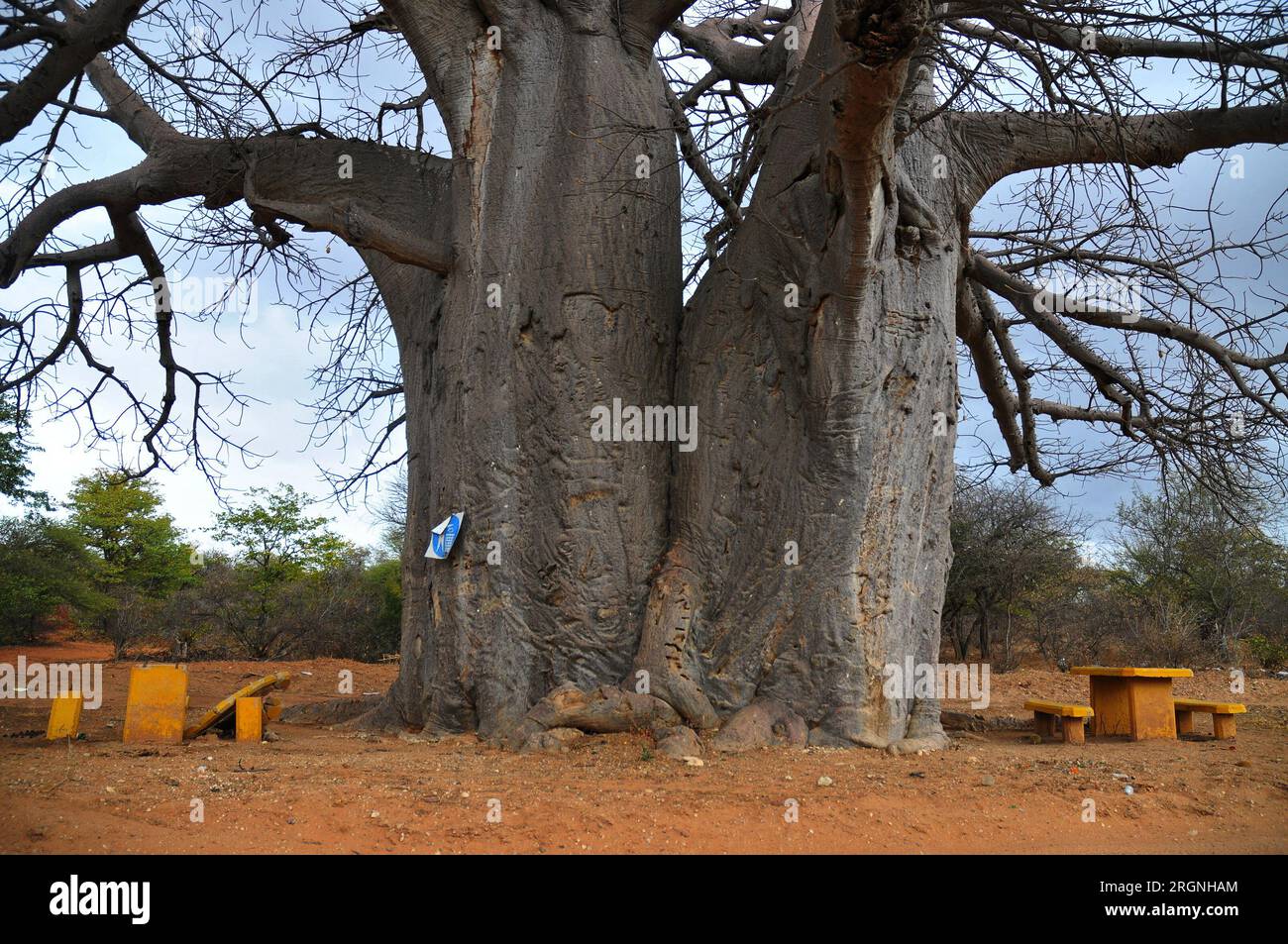 The Tshipise area of north eastern Limpopo boasts one of the largest ...