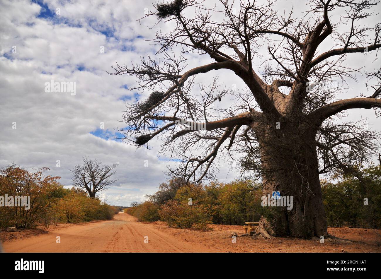 The Tshipise area of north eastern Limpopo boasts one of the largest ...