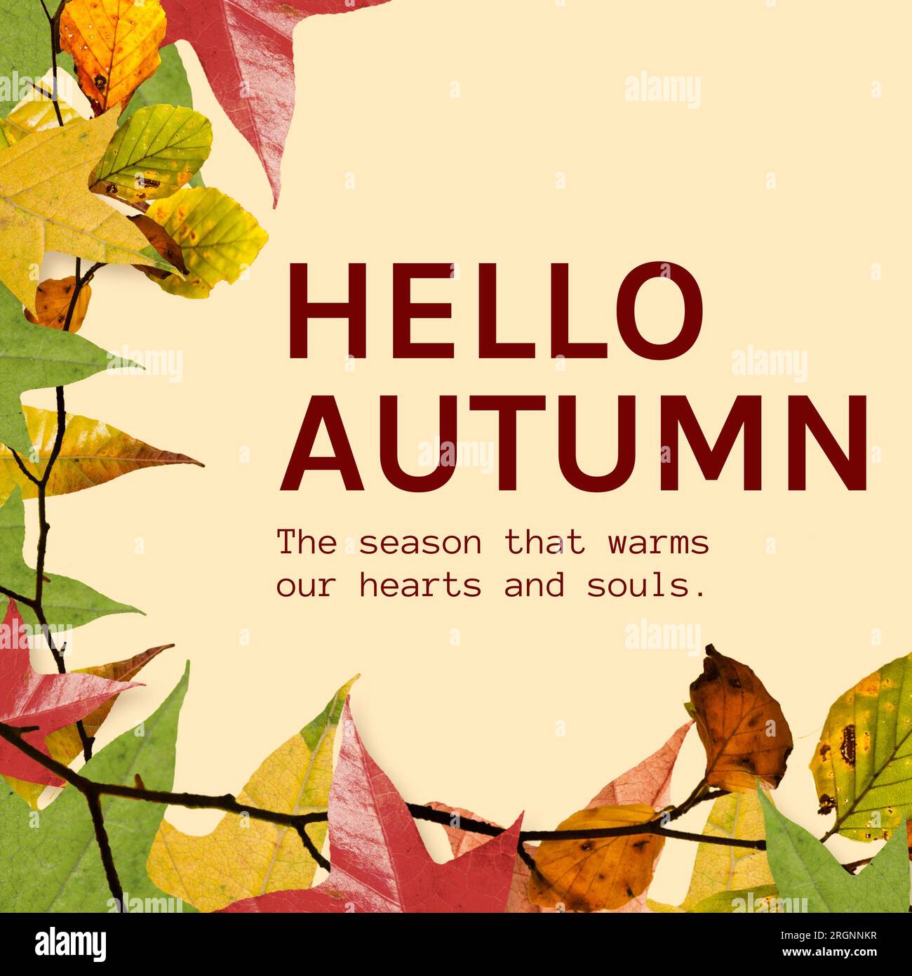 Composite of hello autumn text over autumn leaves on yellow background ...