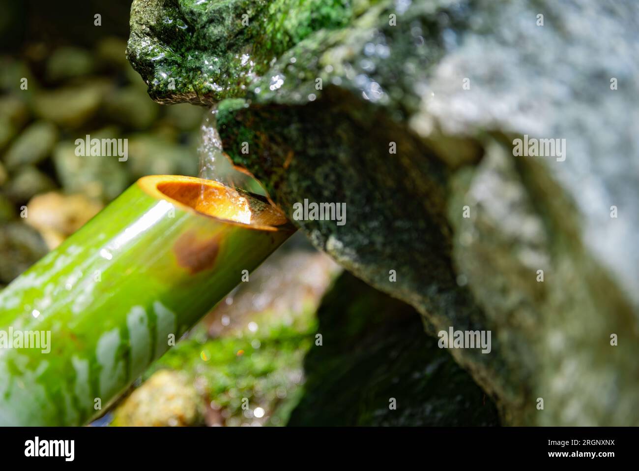A Japanese Bamboo Water Fountain ShishiOdoshi in Zen Garden close up