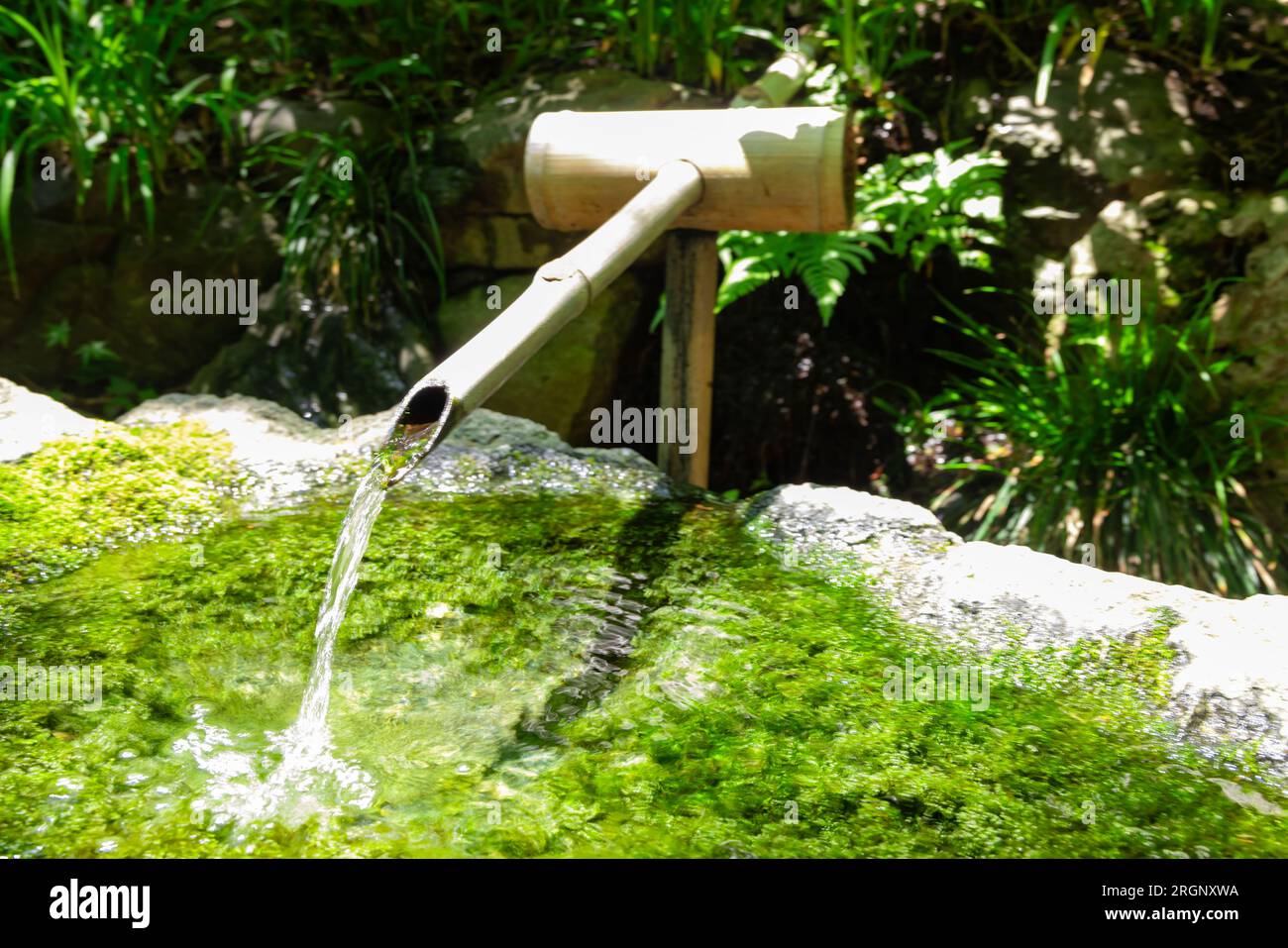 A Japanese Bamboo Water Fountain ShishiOdoshi in Zen Garden Stock