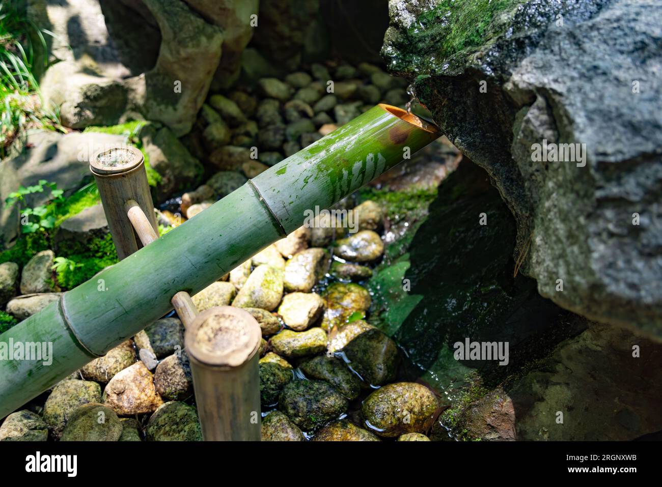 A Japanese Bamboo Water Fountain ShishiOdoshi in Zen Garden Stock