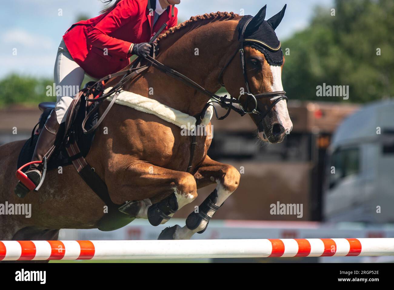 Horse Jumping, Equestrian Sports, Show Jumping event themed photograph