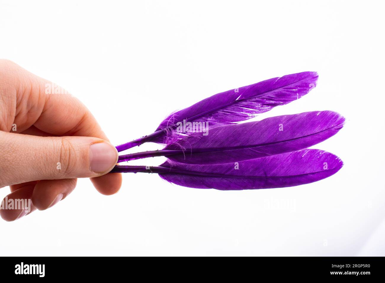 Studio shot photo colored bird feathers as texture background Stock