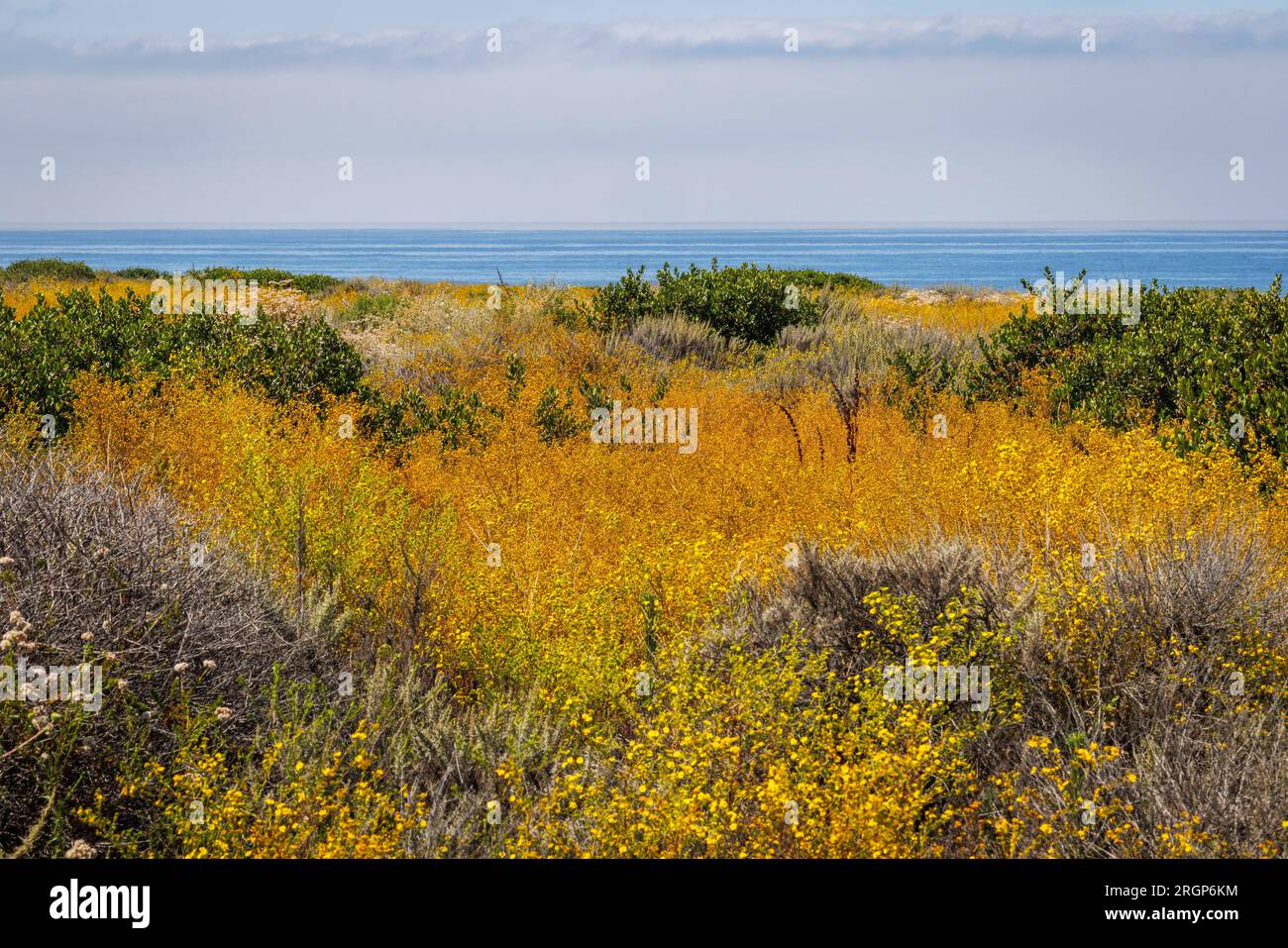 Crystal Cove State Park in Orange County, CA Stock Photo Alamy