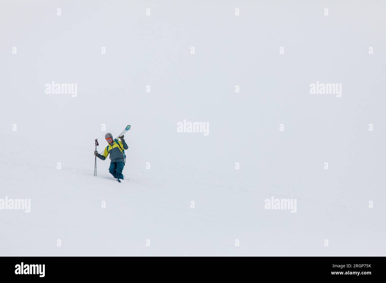 Skier carries skis down hill after white out conditions blow in Stock Photo