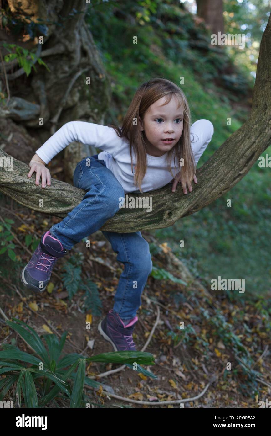 Little girl 7 years old on countryside. Kid climbing tree outdoor Stock Photo