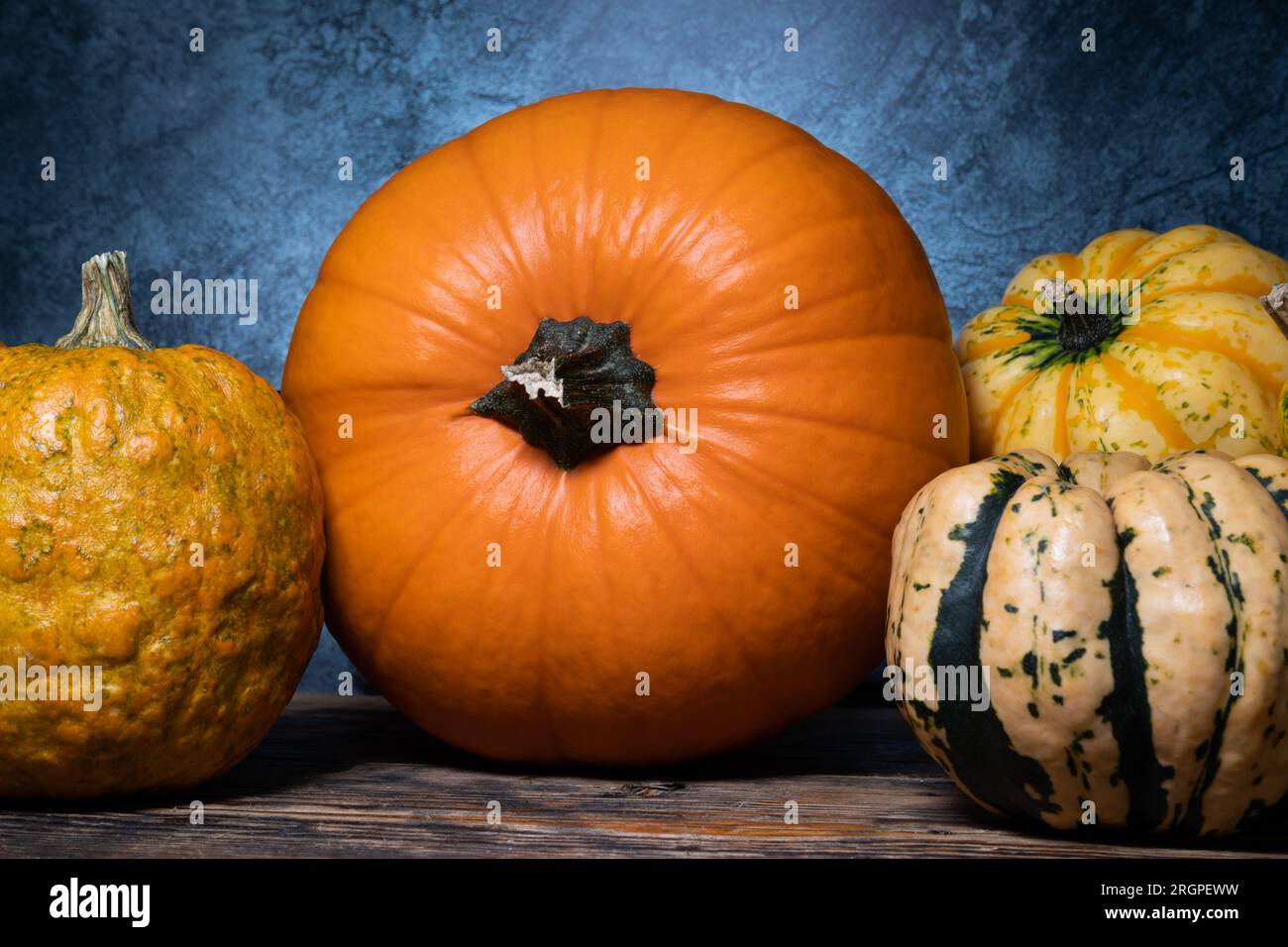 Types of squash hires stock photography and images Alamy