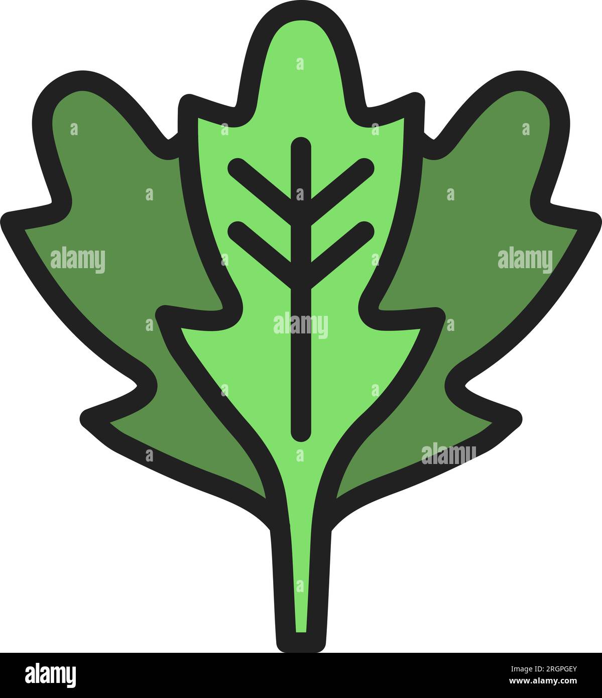 Arugula Icon image. Suitable for mobile application. Stock Vector