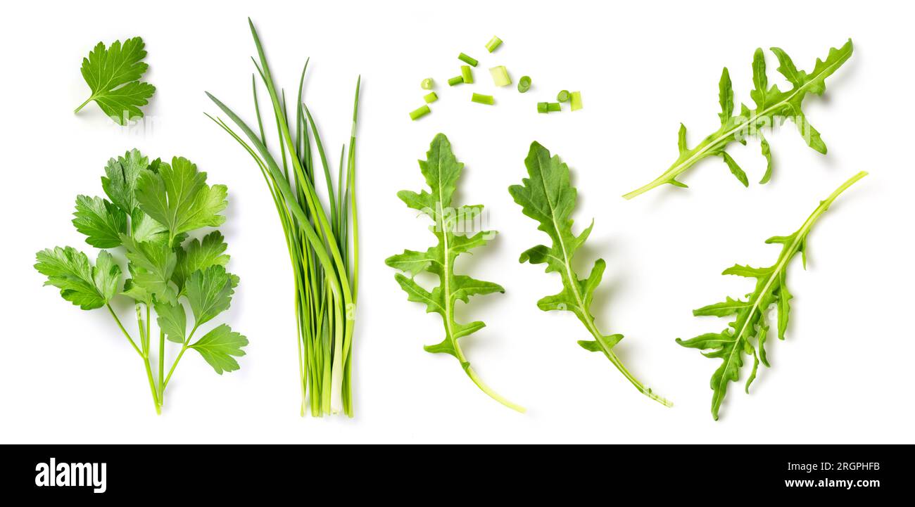 set of fresh Mediterranean herbs: parsley, chives and arugula leaves and chopped pieces isolated over a white background, herbal food design elements Stock Photo