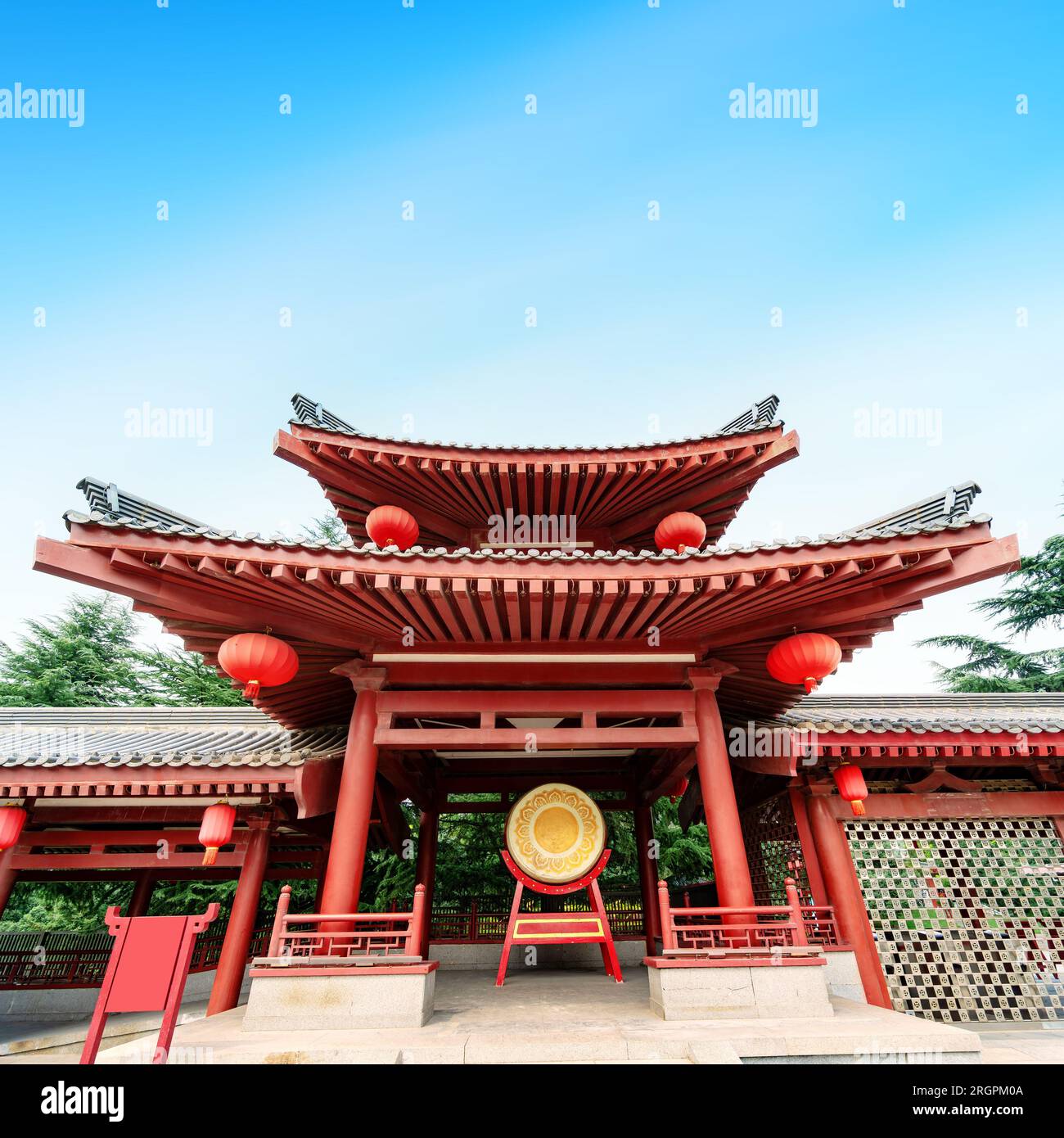 My Image 31