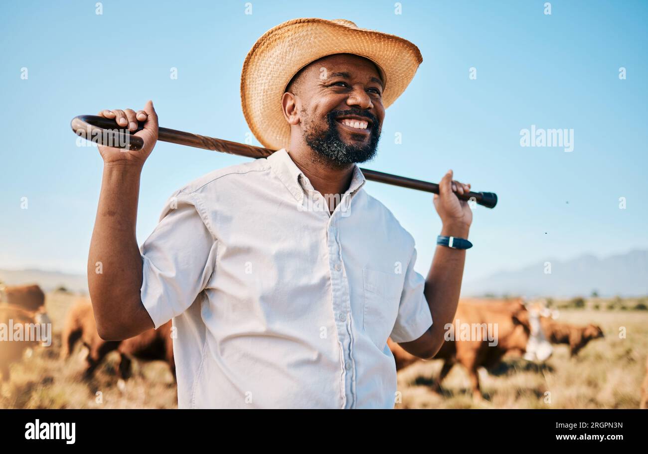 Smiling man herd cows hi-res stock photography and images - Alamy