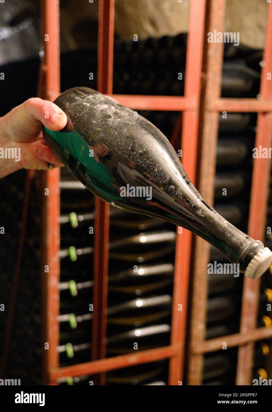 Checking of sediment in undergrounds caves with bottles on wooden racks