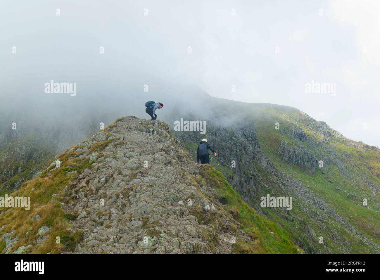 Walkers on Striding Edge, Helvellyn mountain, Cumbria Stock Photo - Alamy