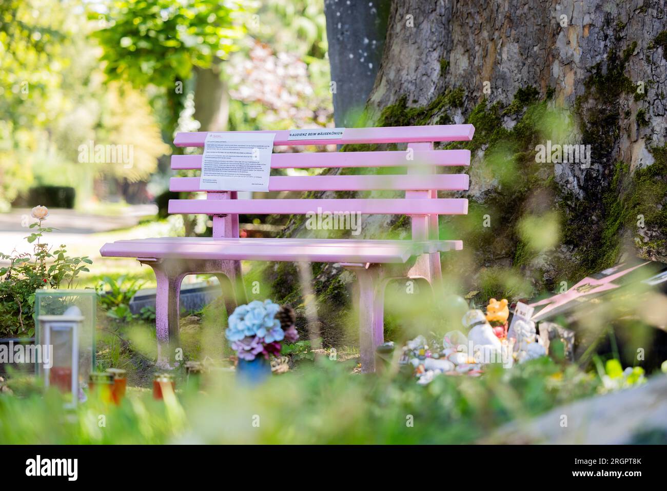 Cologne, Germany. 11th Aug, 2023. A pink bench with the inscription 'Audienz beim Mäusekönig' ('Audience with the Mouse King'), to which a note from the city of Cologne is stuck, stands next to the grave of the late comedian Dirk Bach at Melaten Cemetery. On the note, the city of Cologne calls for the bench to be removed by September 8, 2023. This applies to all privately installed benches in the Melaten Cemetery. Credit: Rolf Vennenbernd/dpa/Alamy Live News Stock Photo