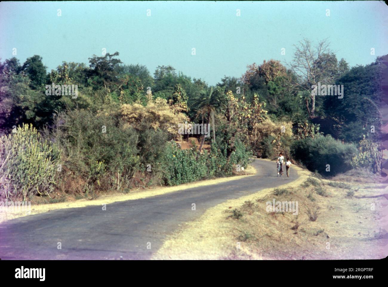 Village Roads, Gujrat, India Stock Photo