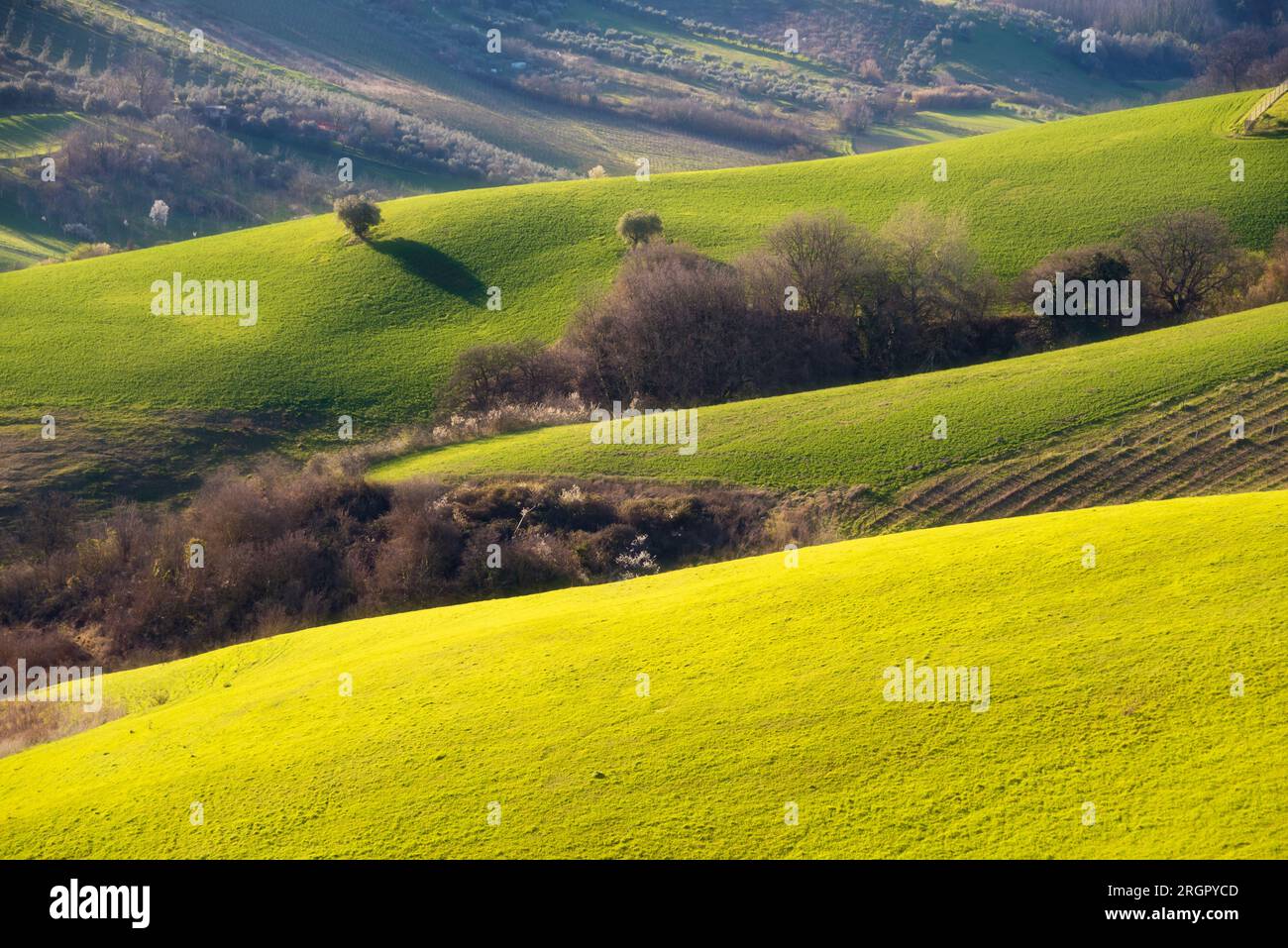 Agricultural fields and cultivated land on hills Stock Photo - Alamy