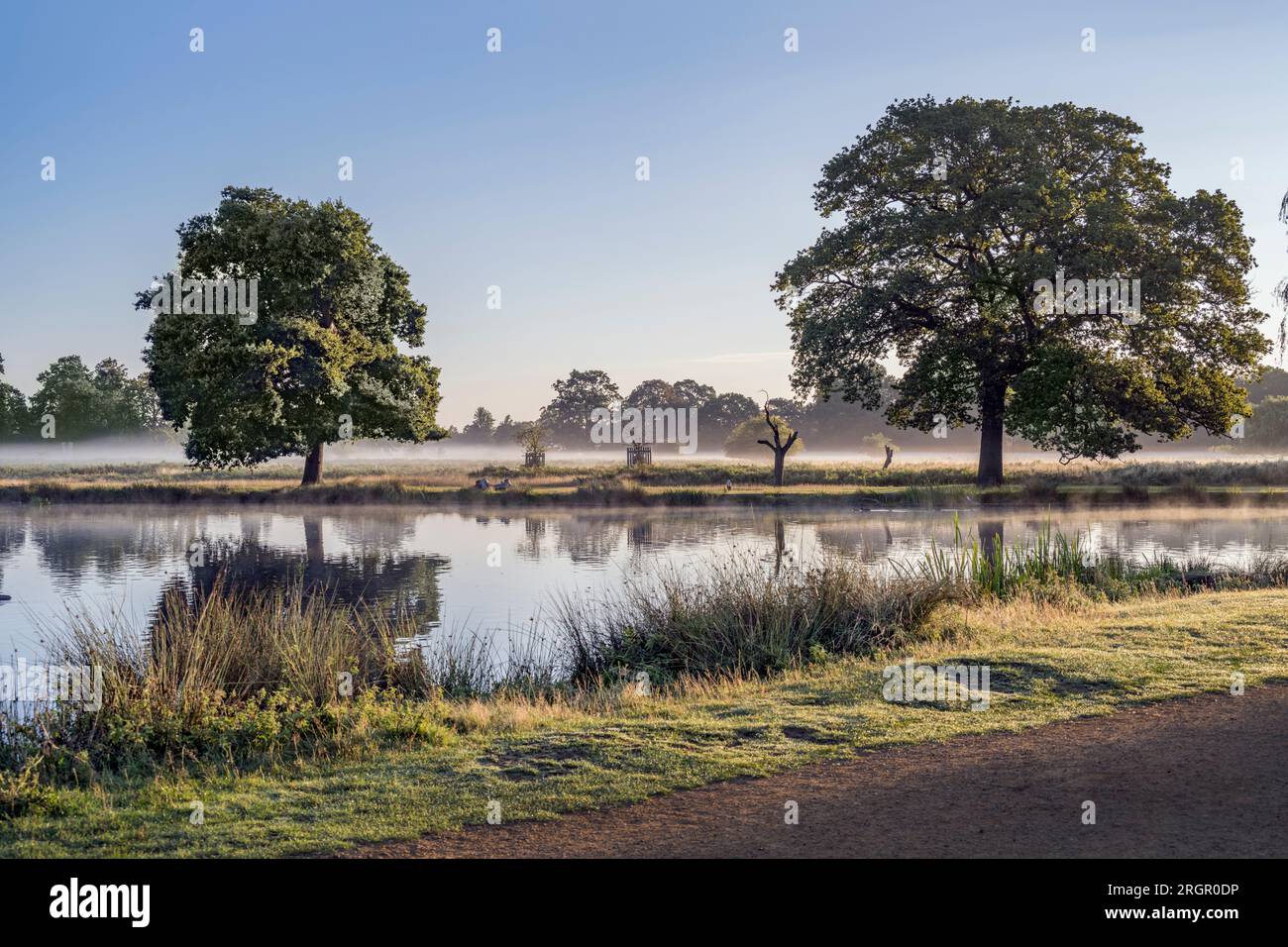Feelgood factor and freshness of an early morning walk Stock Photo - Alamy
